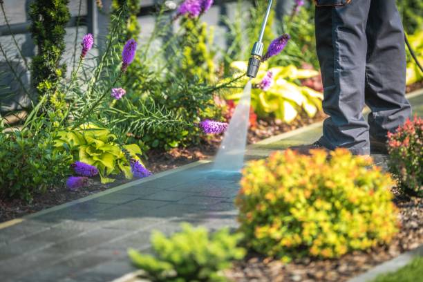 Best Sidewalk and Walkway Cleaning  in Big Lake, MN