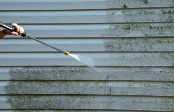 Best Solar Panel Cleaning  in Big Lake, MN